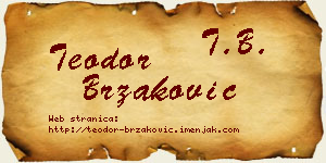 Teodor Brzaković vizit kartica